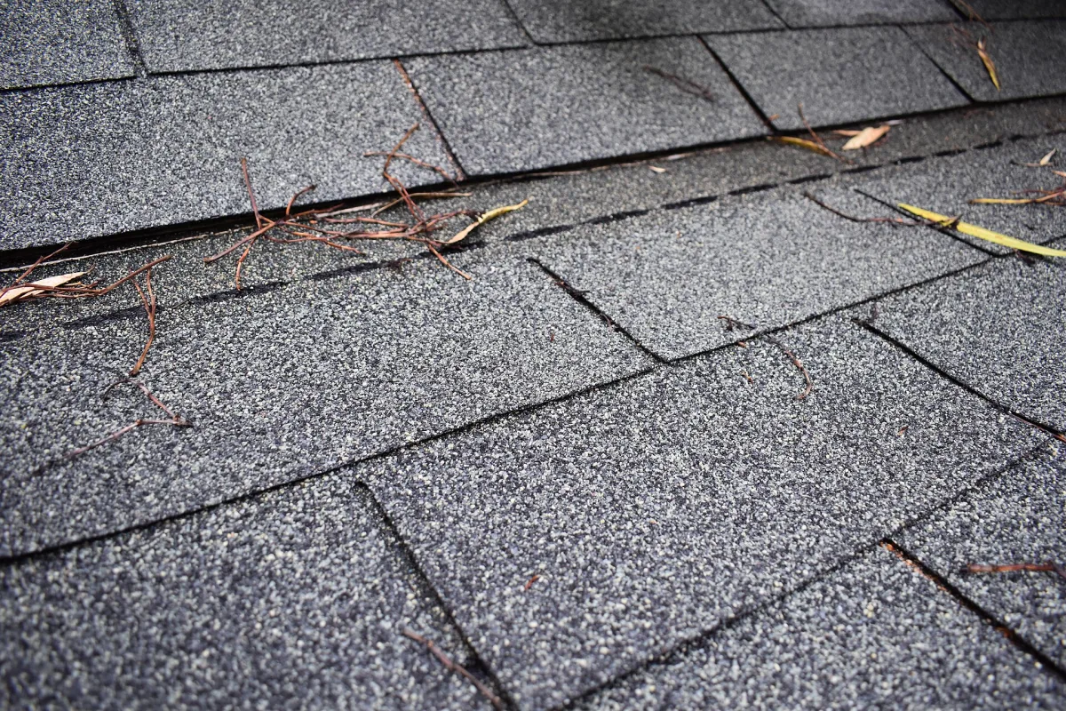 Close-up of a newly installed asphalt shingle roof